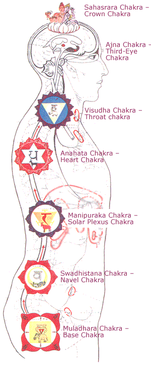 http://www.annemeplon.com/chakra_map.gif